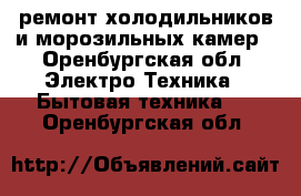 ремонт холодильников и морозильных камер - Оренбургская обл. Электро-Техника » Бытовая техника   . Оренбургская обл.